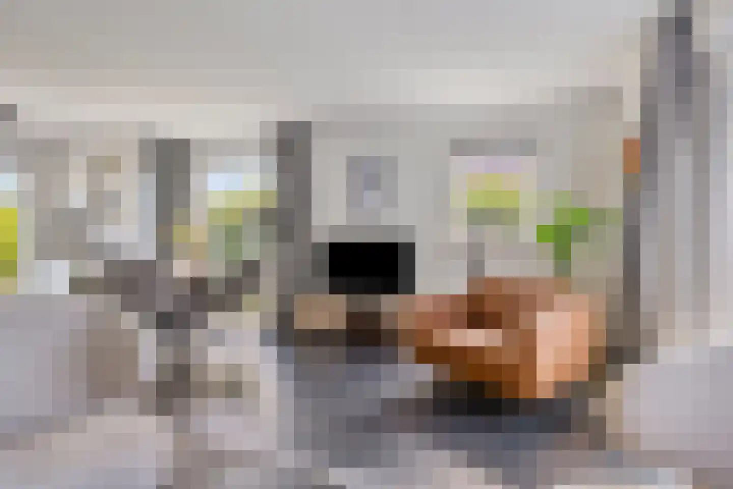 De Witte Raaflaan 62 Noordwijk thumbnail 6