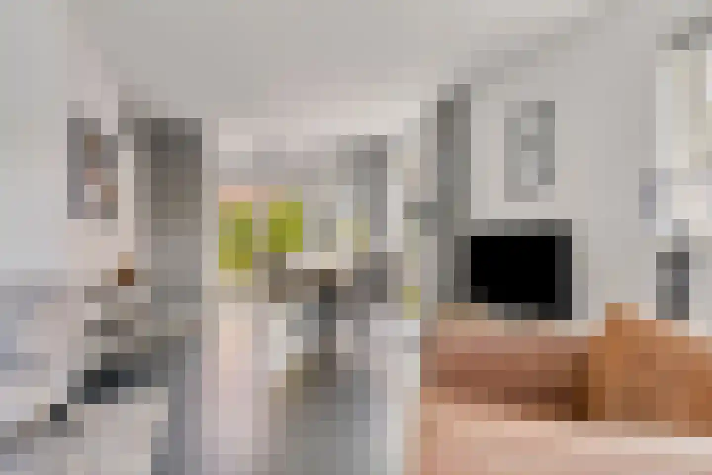 De Witte Raaflaan 62 Noordwijk thumbnail 7