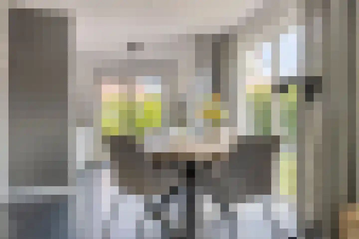 De Witte Raaflaan 62 Noordwijk thumbnail 8