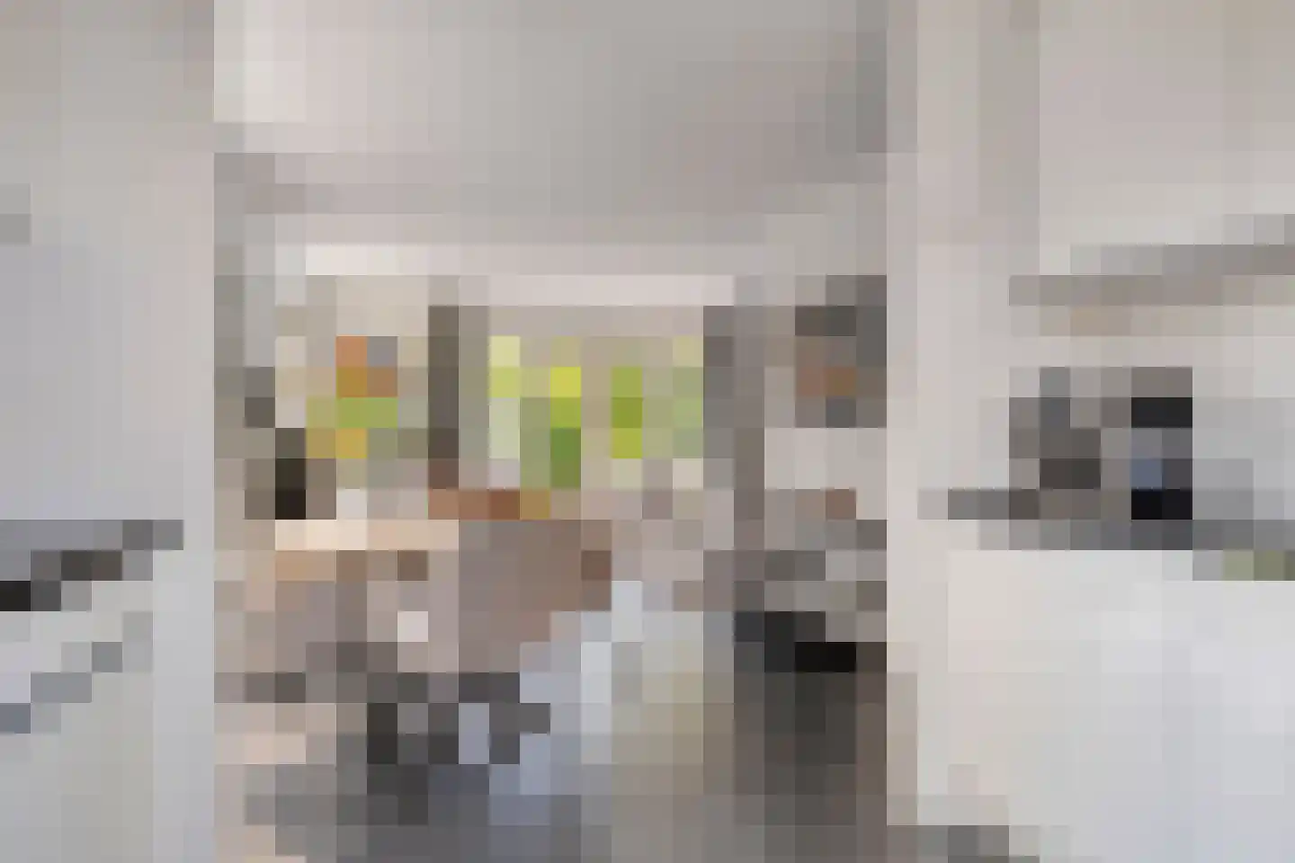 De Witte Raaflaan 62 Noordwijk thumbnail 9