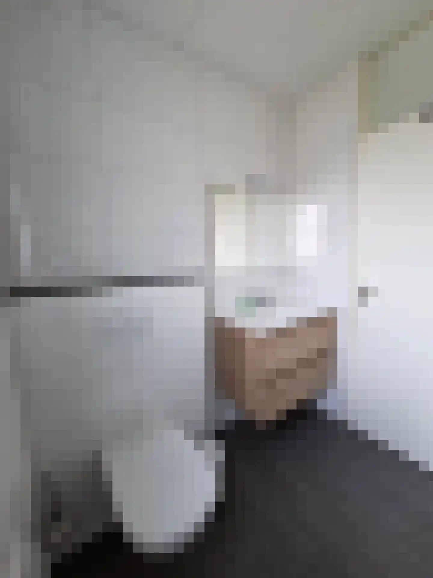 De Witte Raaflaan 63 Noordwijk thumbnail 11