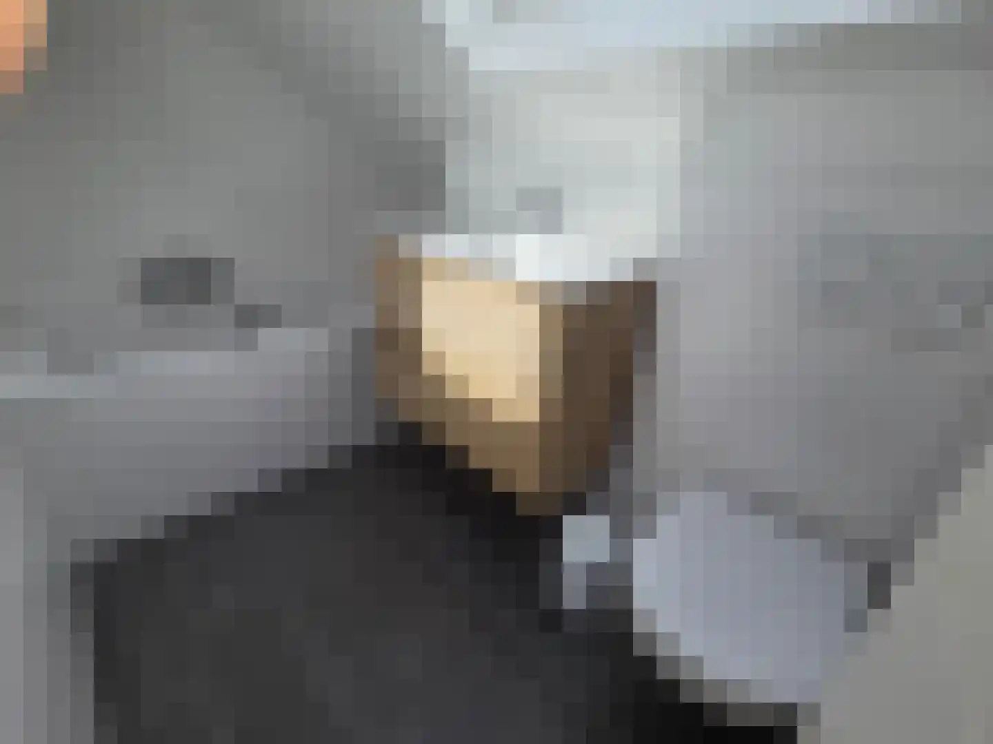 De Witte Raaflaan 63 Noordwijk thumbnail 12