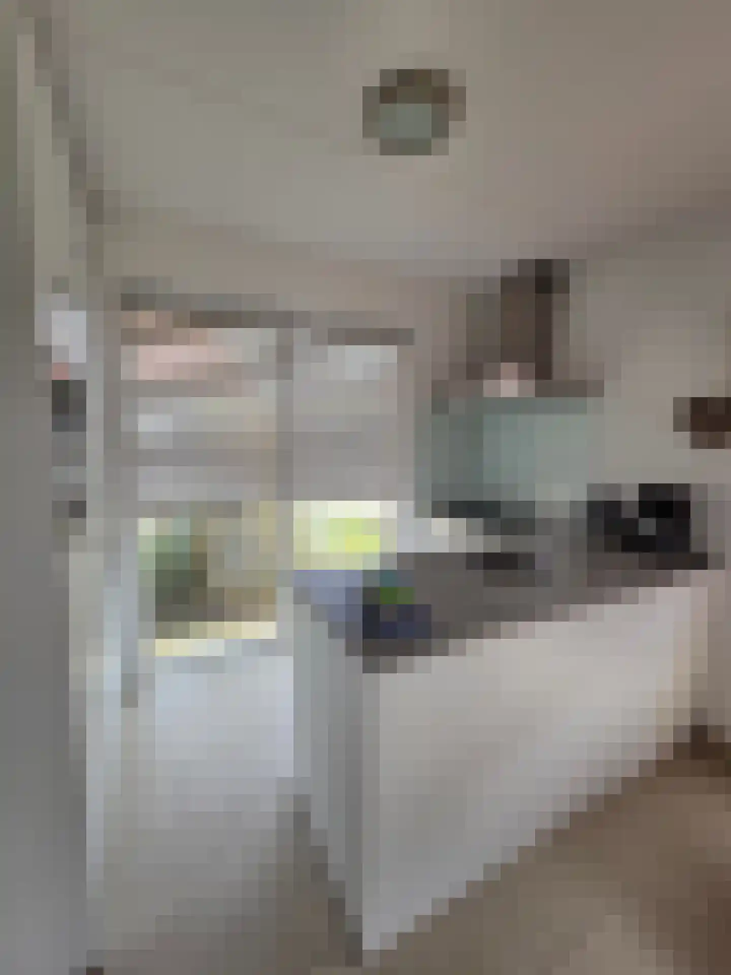 De Witte Raaflaan 63 Noordwijk thumbnail 6