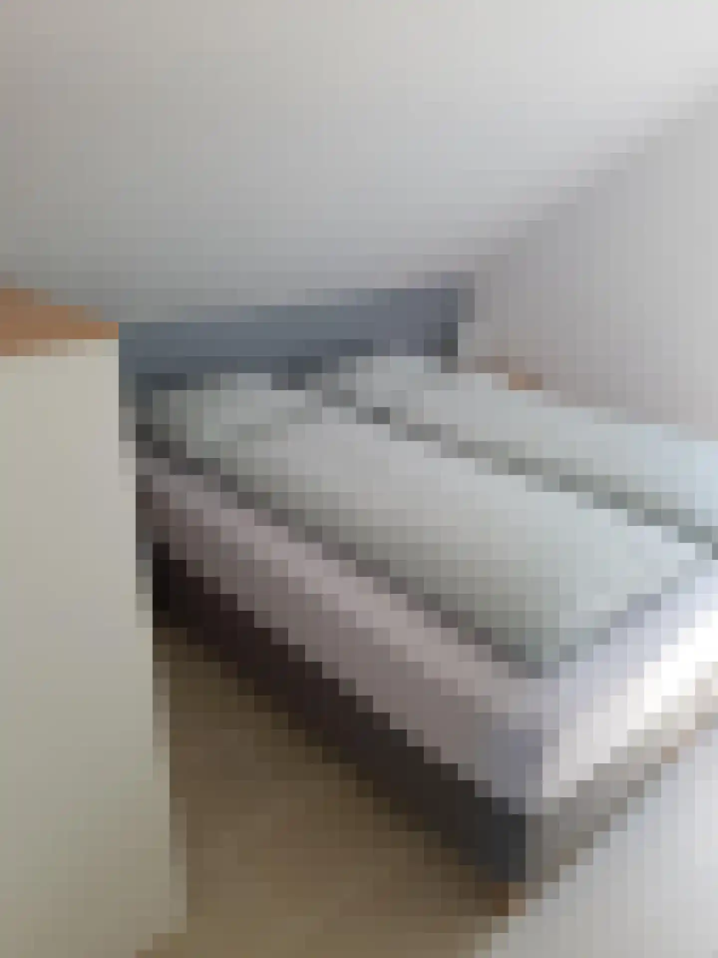 De Witte Raaflaan 63 Noordwijk thumbnail 8
