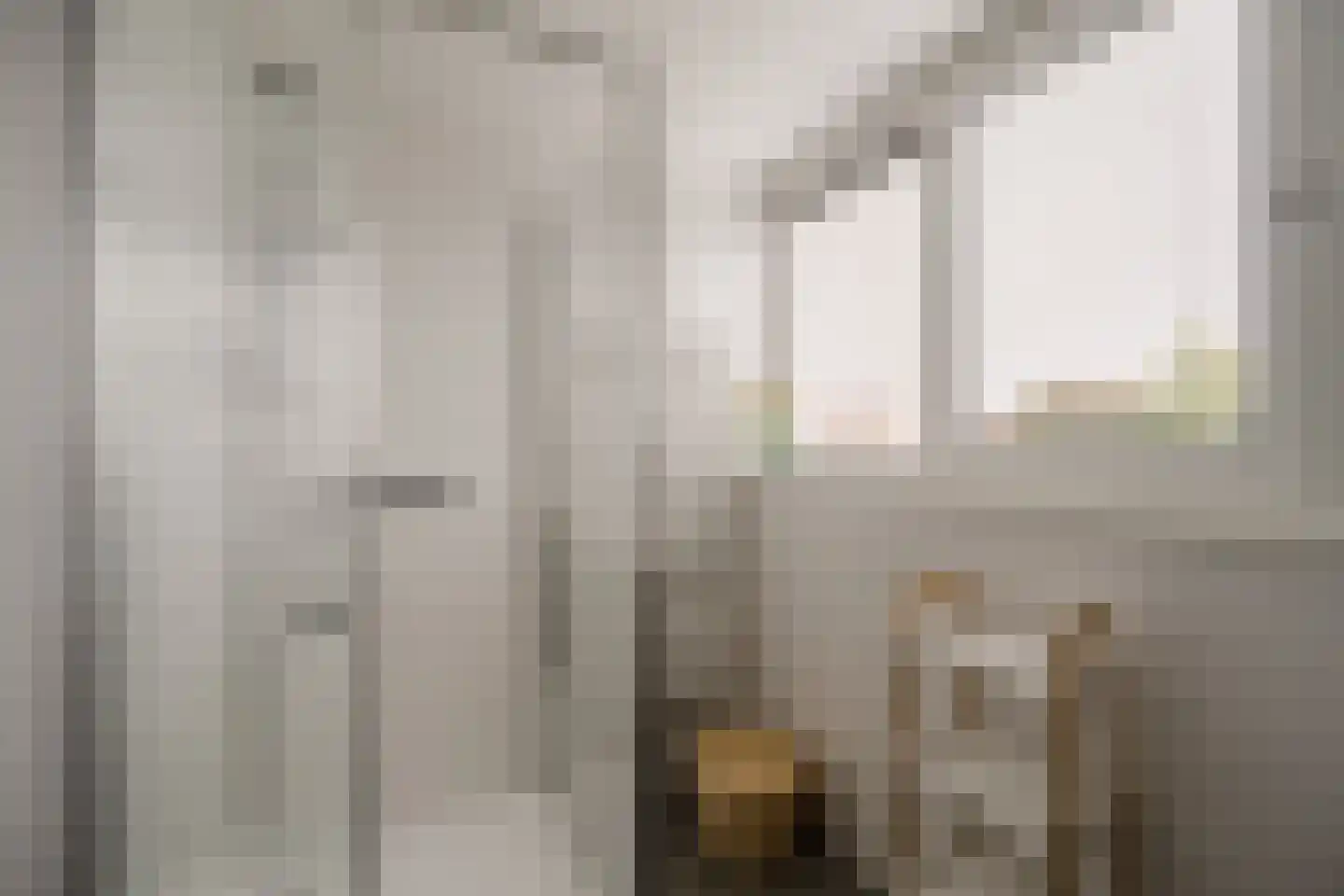 De Witte Raaflaan 67 Noordwijk thumbnail 32