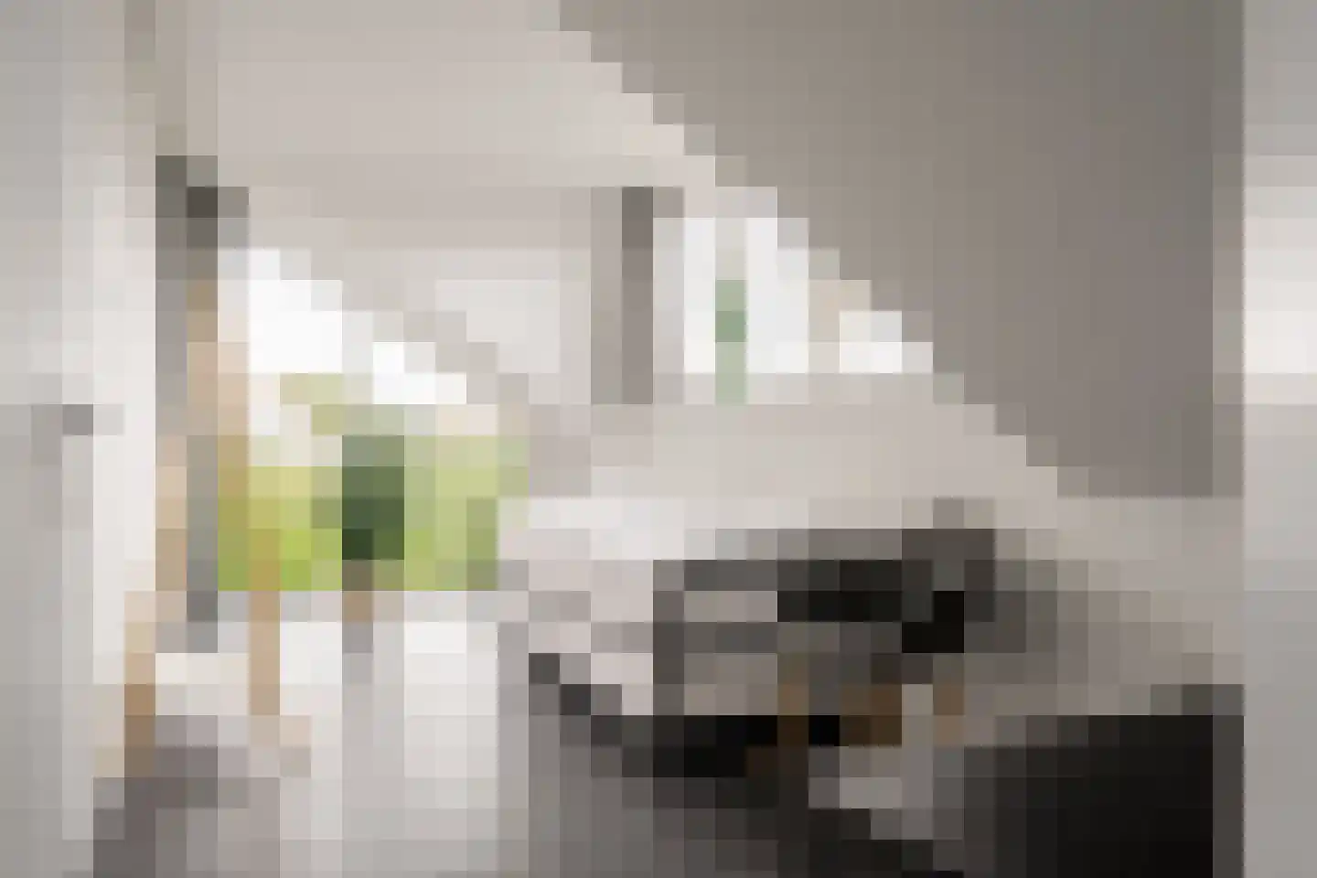 De Witte Raaflaan 67 Noordwijk thumbnail 34