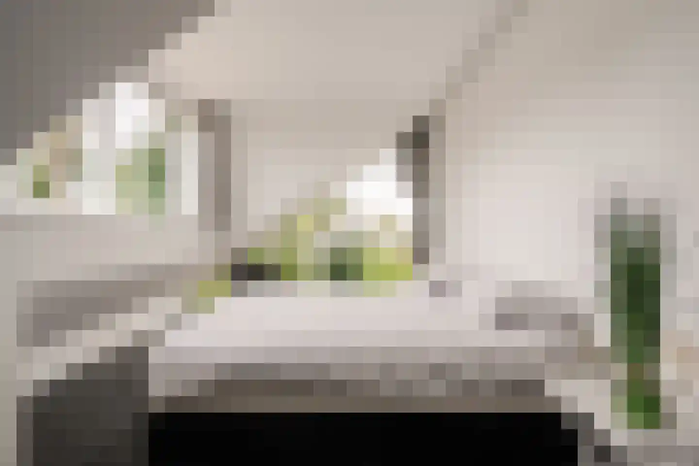 De Witte Raaflaan 67 Noordwijk thumbnail 36
