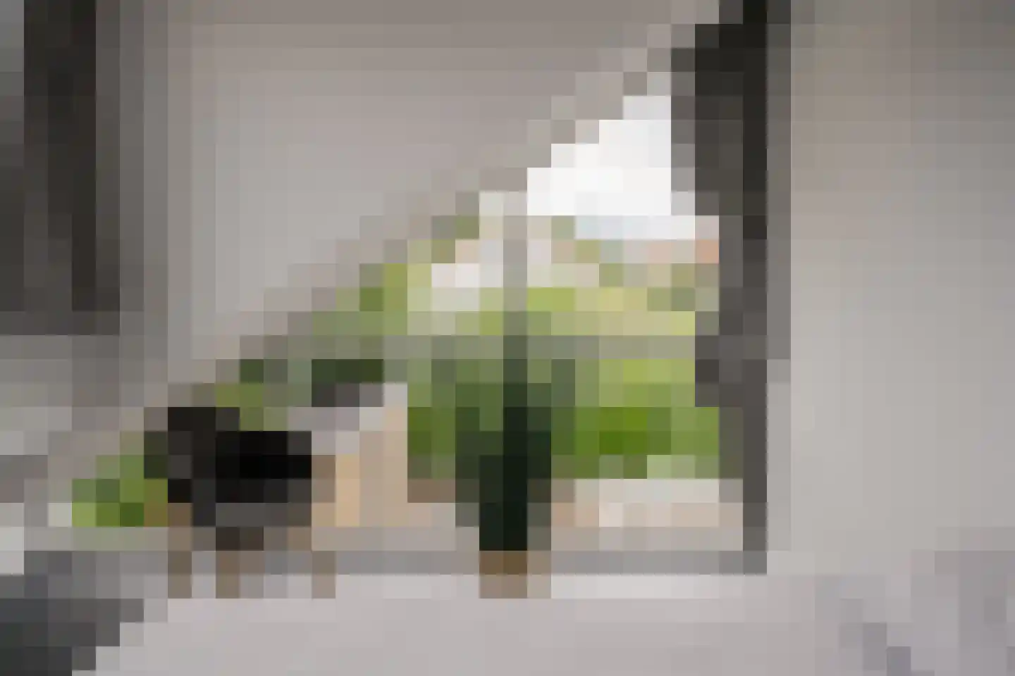 De Witte Raaflaan 67 Noordwijk thumbnail 37