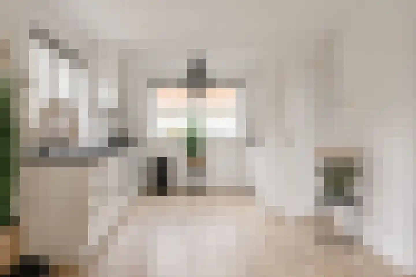 De Witte Raaflaan 67 Noordwijk thumbnail 8