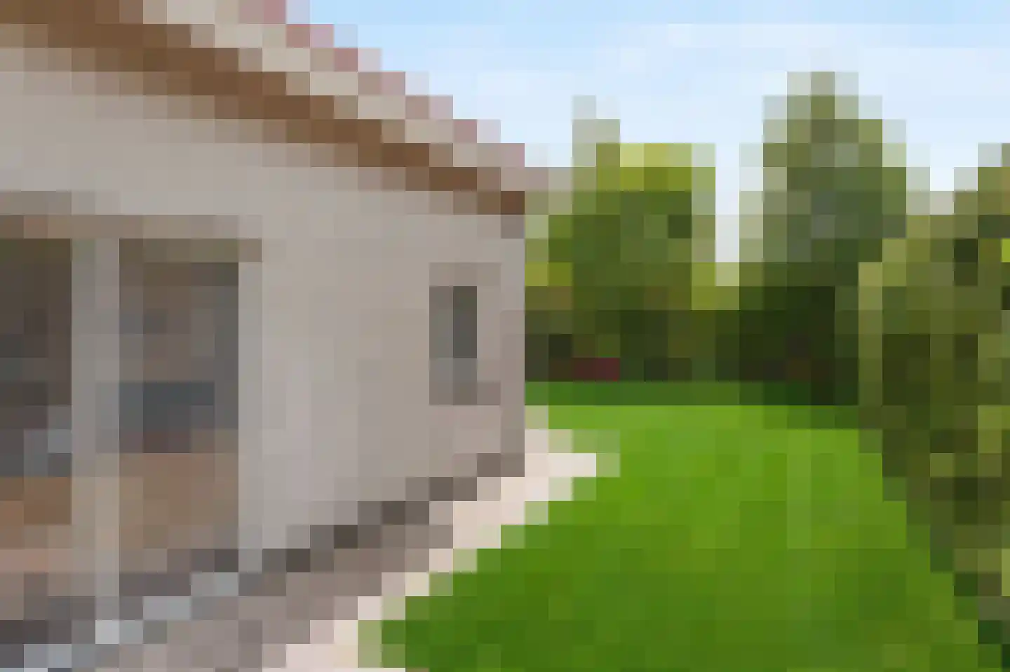 De Witte Raaflaan 96 Noordwijk thumbnail 14