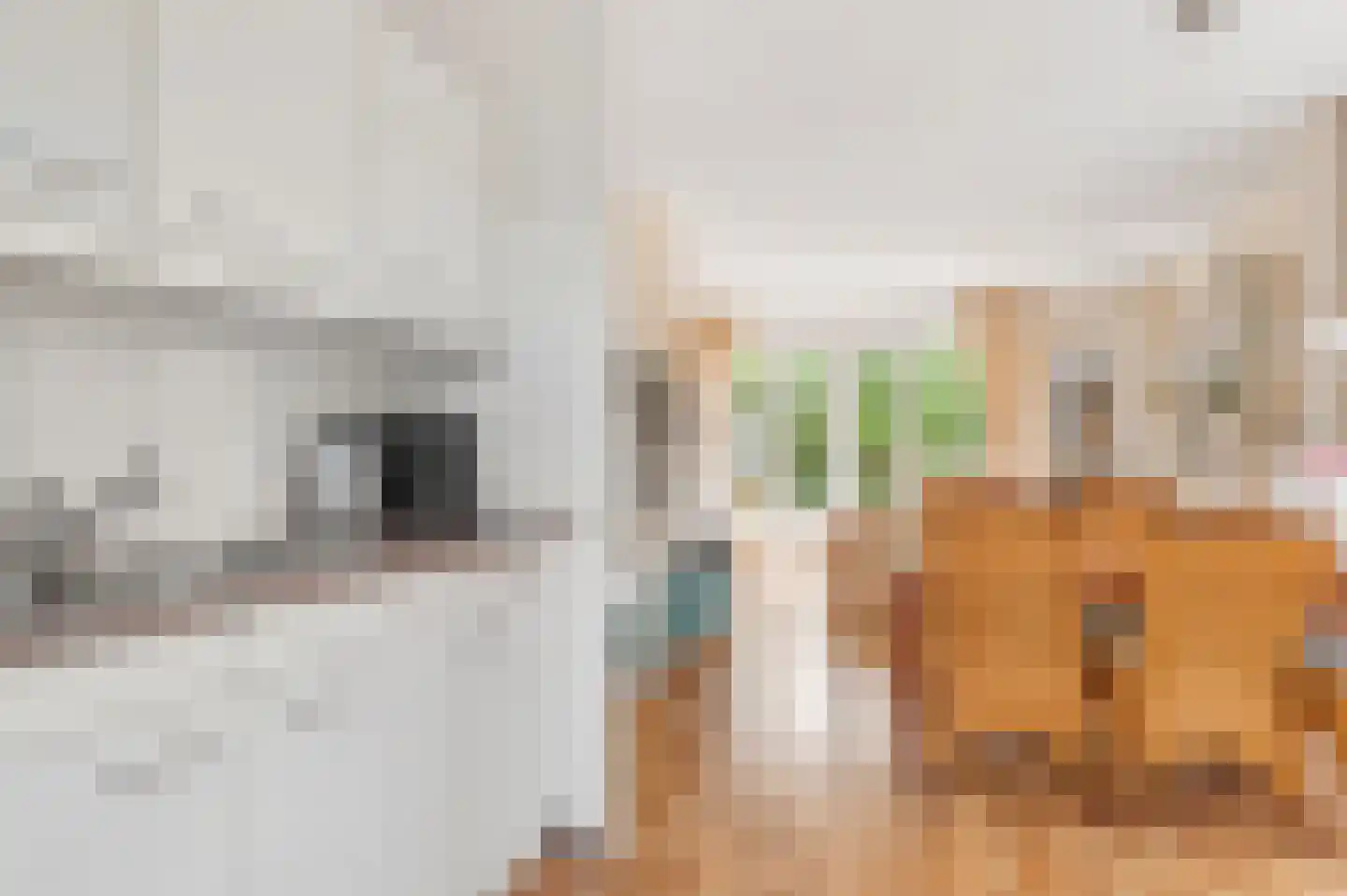De Witte Raaflaan 96 Noordwijk thumbnail 16