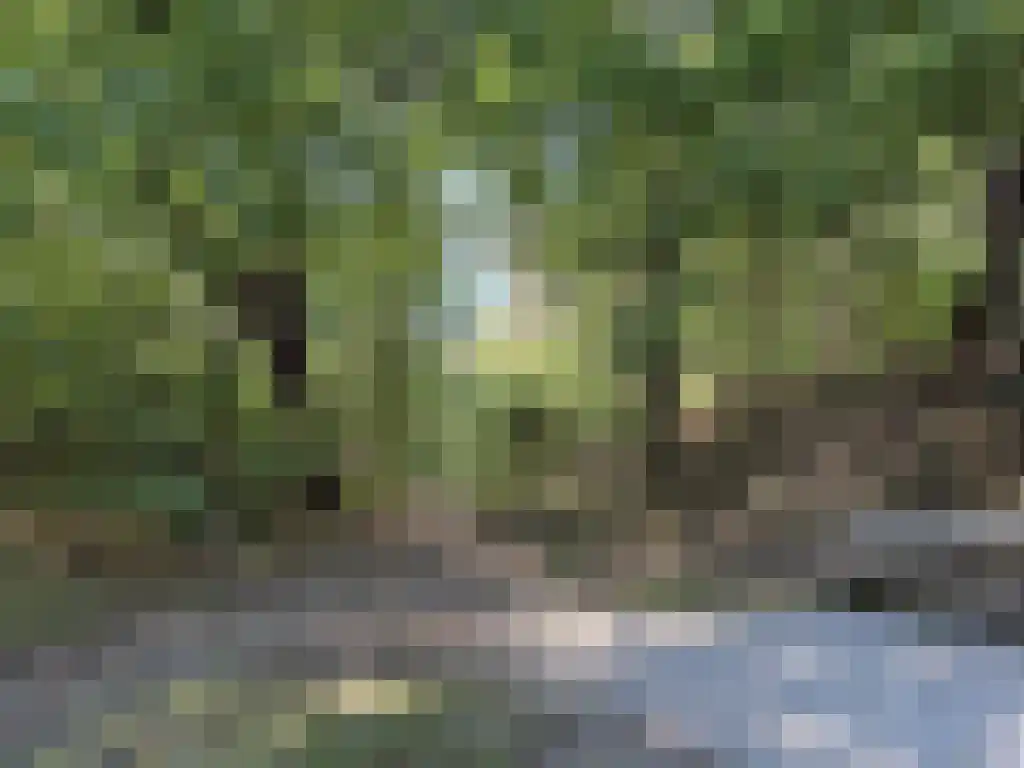 De Witte Raaflaan 96 Noordwijk thumbnail 32