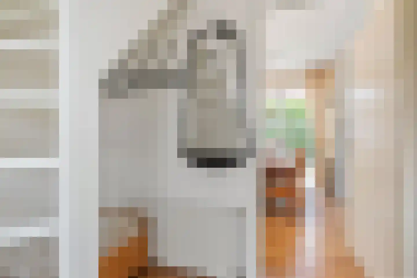 De Witte Raaflaan 96 Noordwijk thumbnail 5