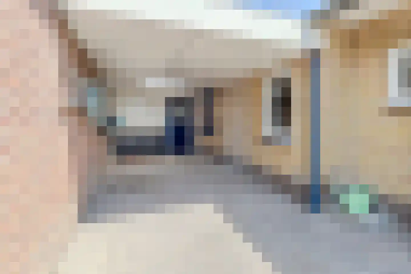 De Witte Rieteweg 23 Mariënvelde thumbnail 28
