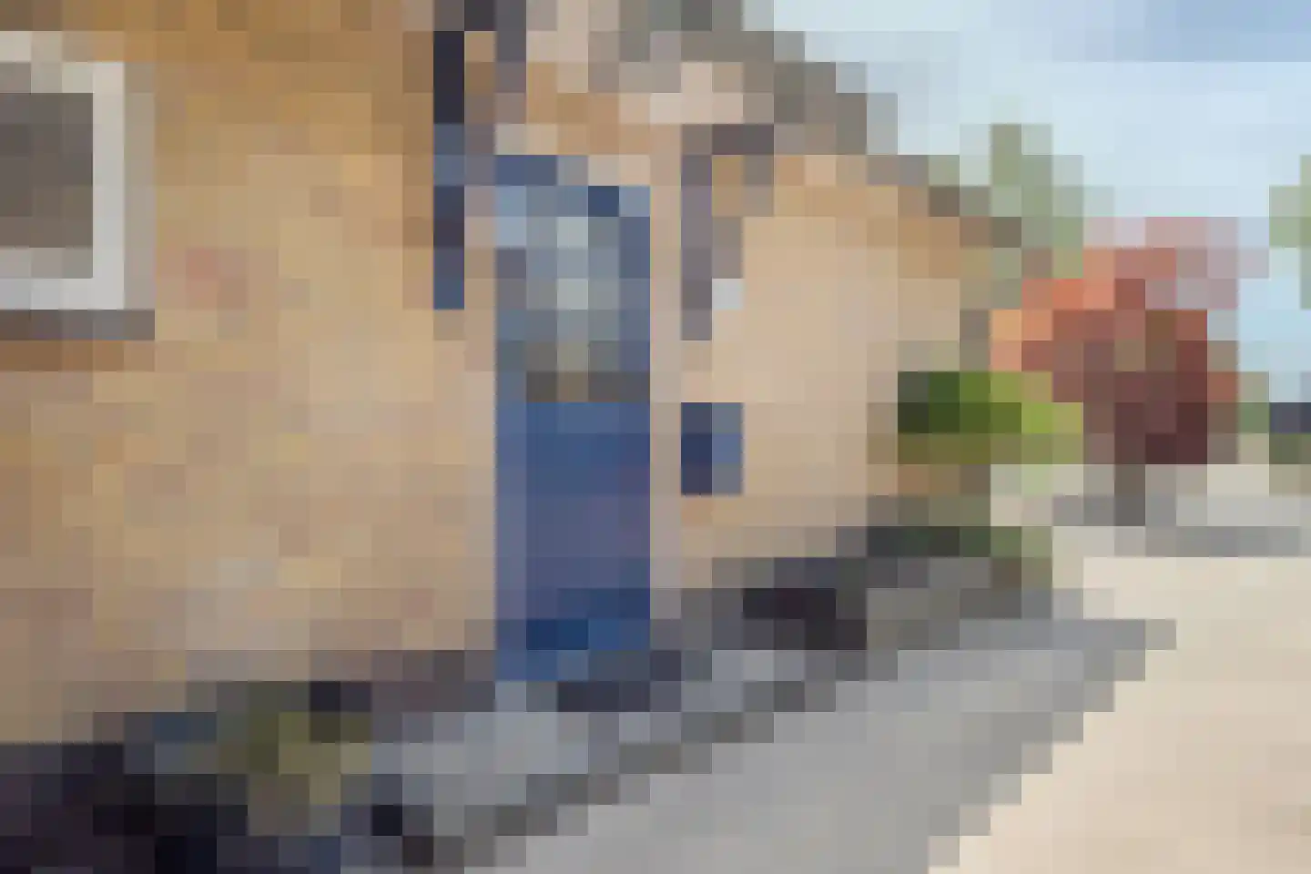 De Witte Rieteweg 23 Mariënvelde foto 3
