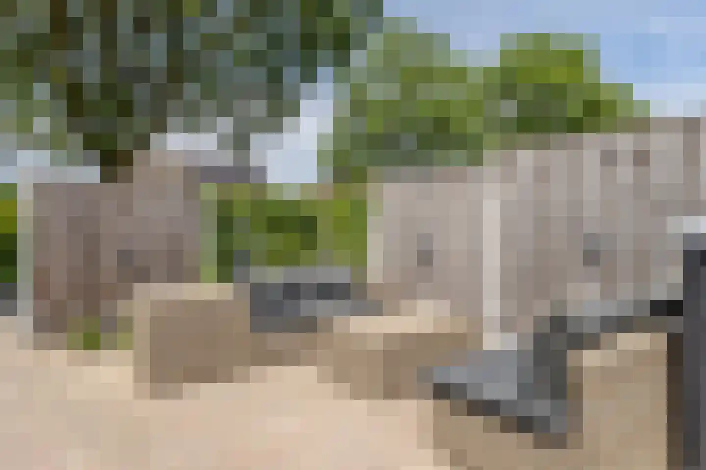 De Witte Rieteweg 23 Mariënvelde thumbnail 45