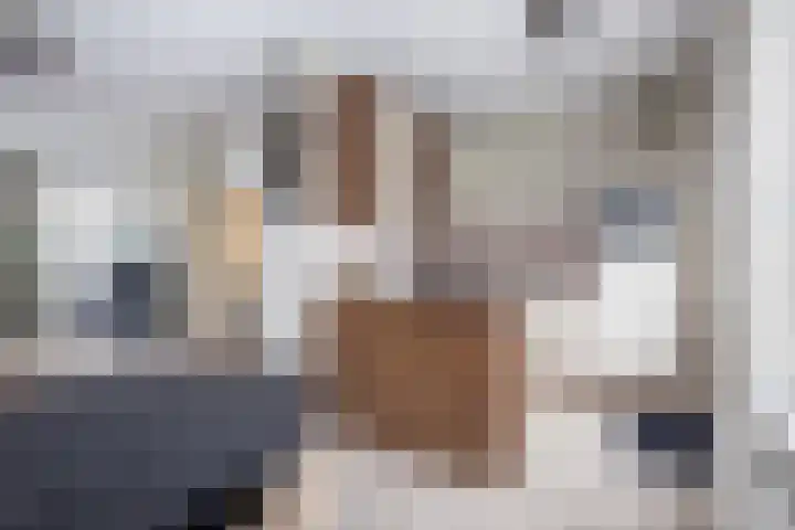 De Witte Valk 8 Venhuizen thumbnail 12