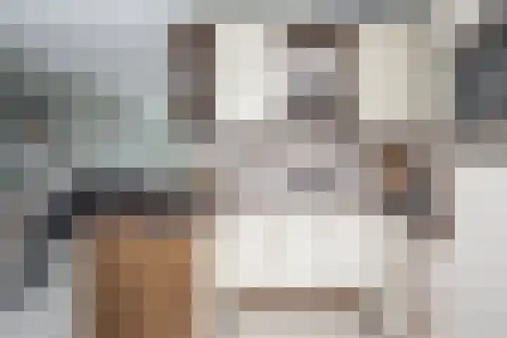 De Witte Valk 8 Venhuizen thumbnail 13