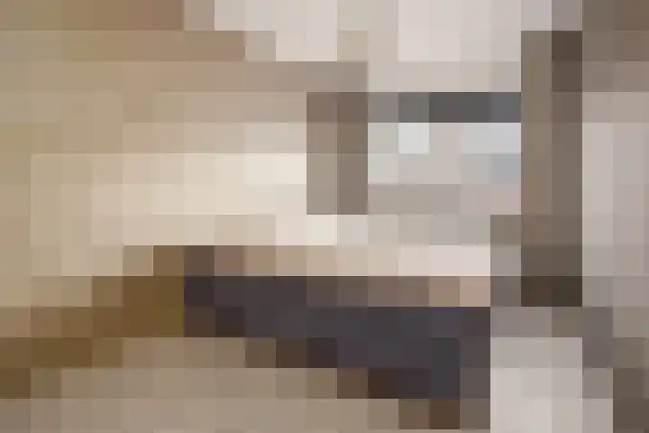 De Witte Valk 8 Venhuizen thumbnail 17