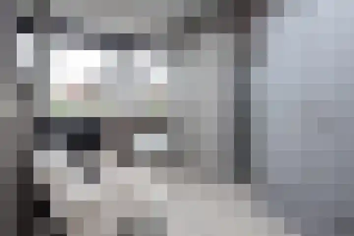 De Witte Valk 8 Venhuizen thumbnail 19