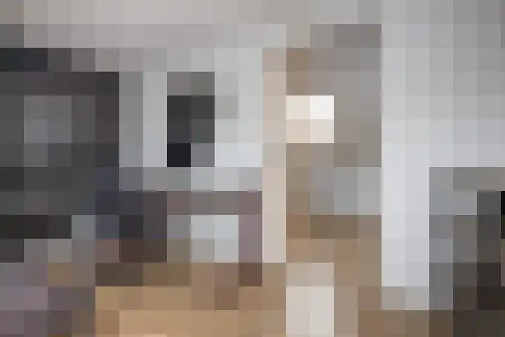 De Witte Valk 8 Venhuizen thumbnail 26