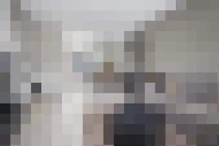 De Witte Valk 8 Venhuizen foto 3