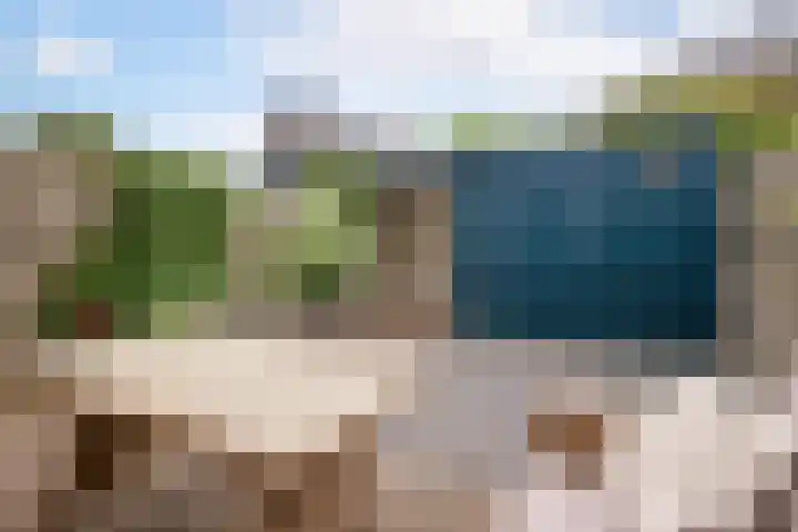 De Witte Valk 8 Venhuizen thumbnail 33