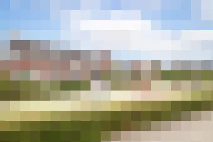 De Witte Valk 8 Venhuizen thumbnail 34