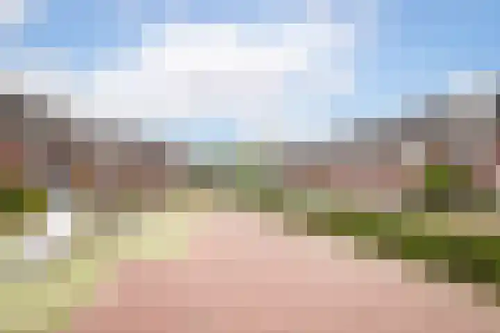 De Witte Valk 8 Venhuizen thumbnail 35
