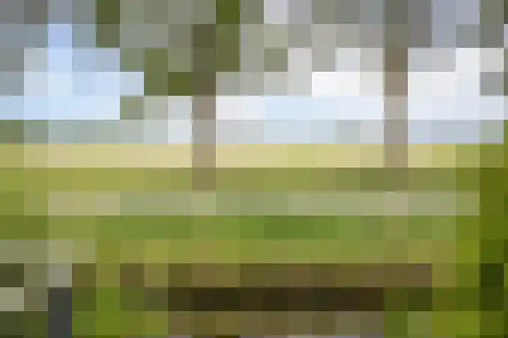 De Witte Valk 8 Venhuizen thumbnail 36