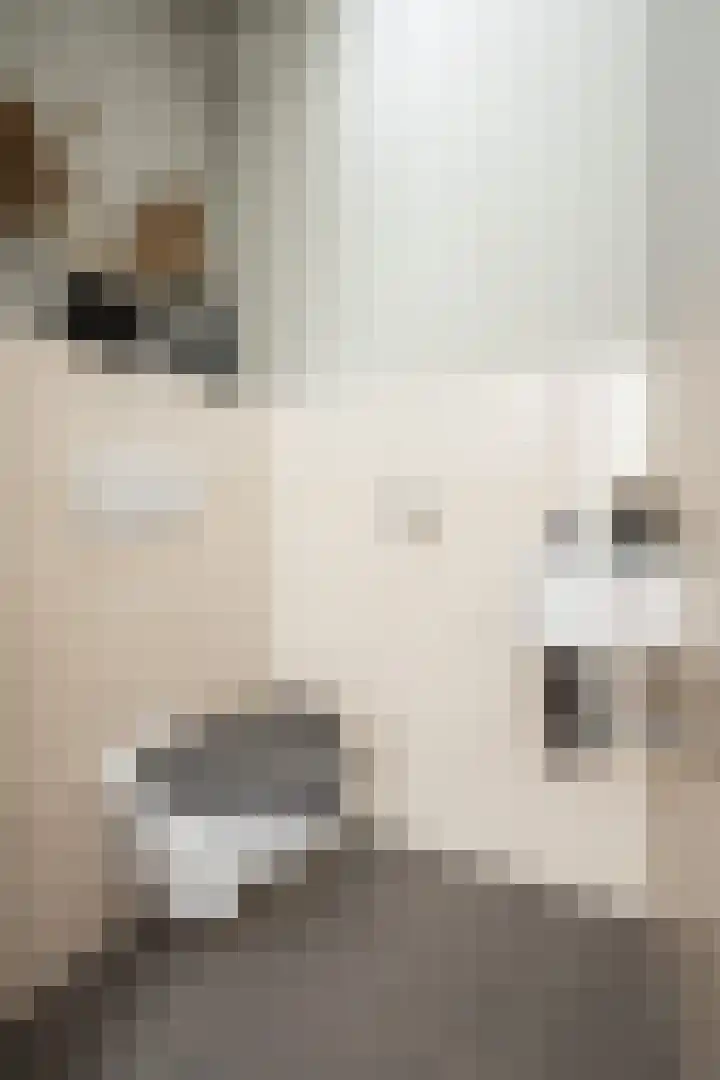 De Witte Valk 8 Venhuizen thumbnail 39
