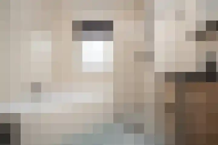 De Witte Valk 8 Venhuizen thumbnail 4