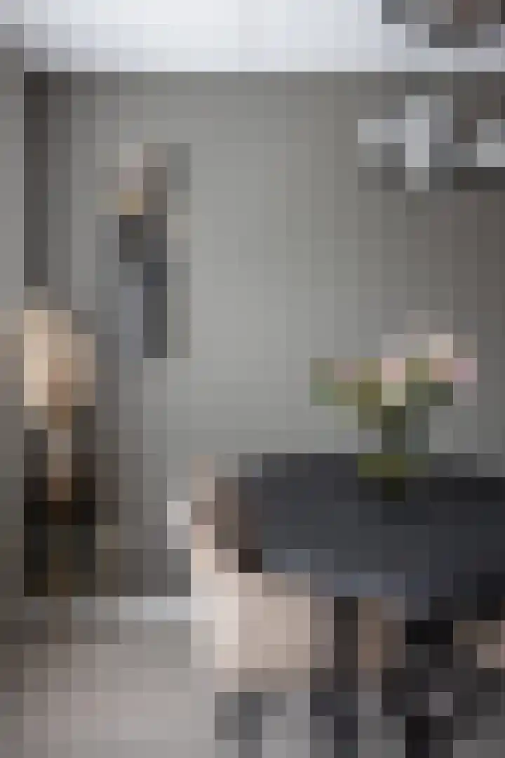 De Witte Valk 8 Venhuizen thumbnail 41