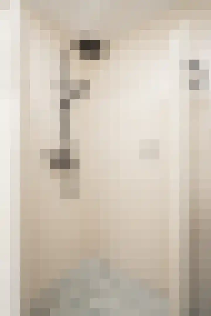 De Witte Valk 8 Venhuizen thumbnail 46