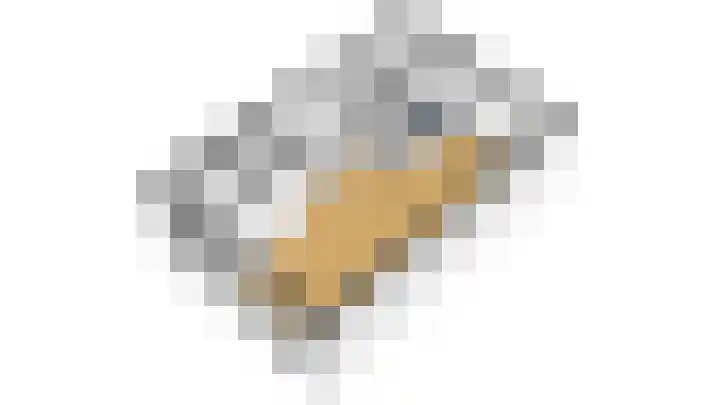 De Witte Valk 8 Venhuizen thumbnail 49