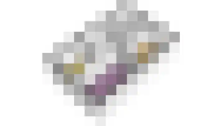 De Witte Valk 8 Venhuizen thumbnail 51