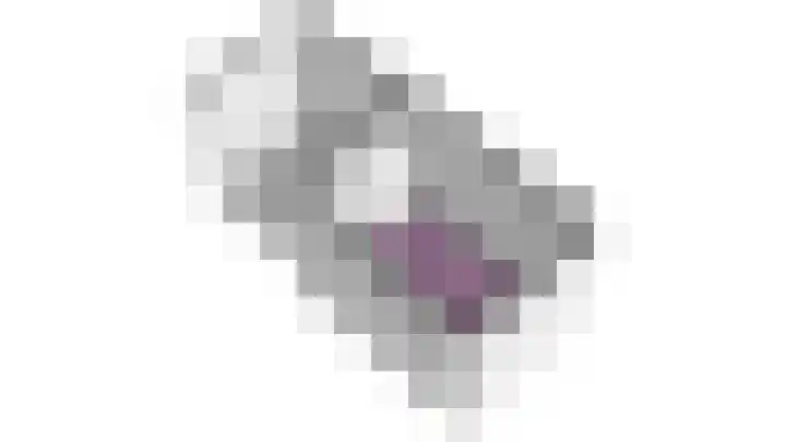 De Witte Valk 8 Venhuizen thumbnail 55