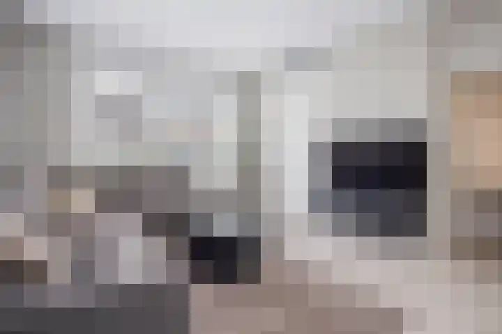 De Witte Valk 8 Venhuizen thumbnail 8