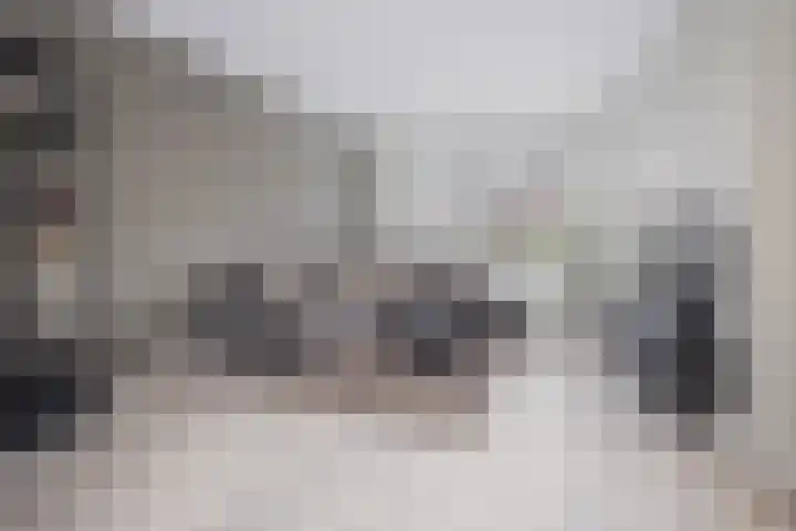 De Witte Valk 8 Venhuizen thumbnail 9