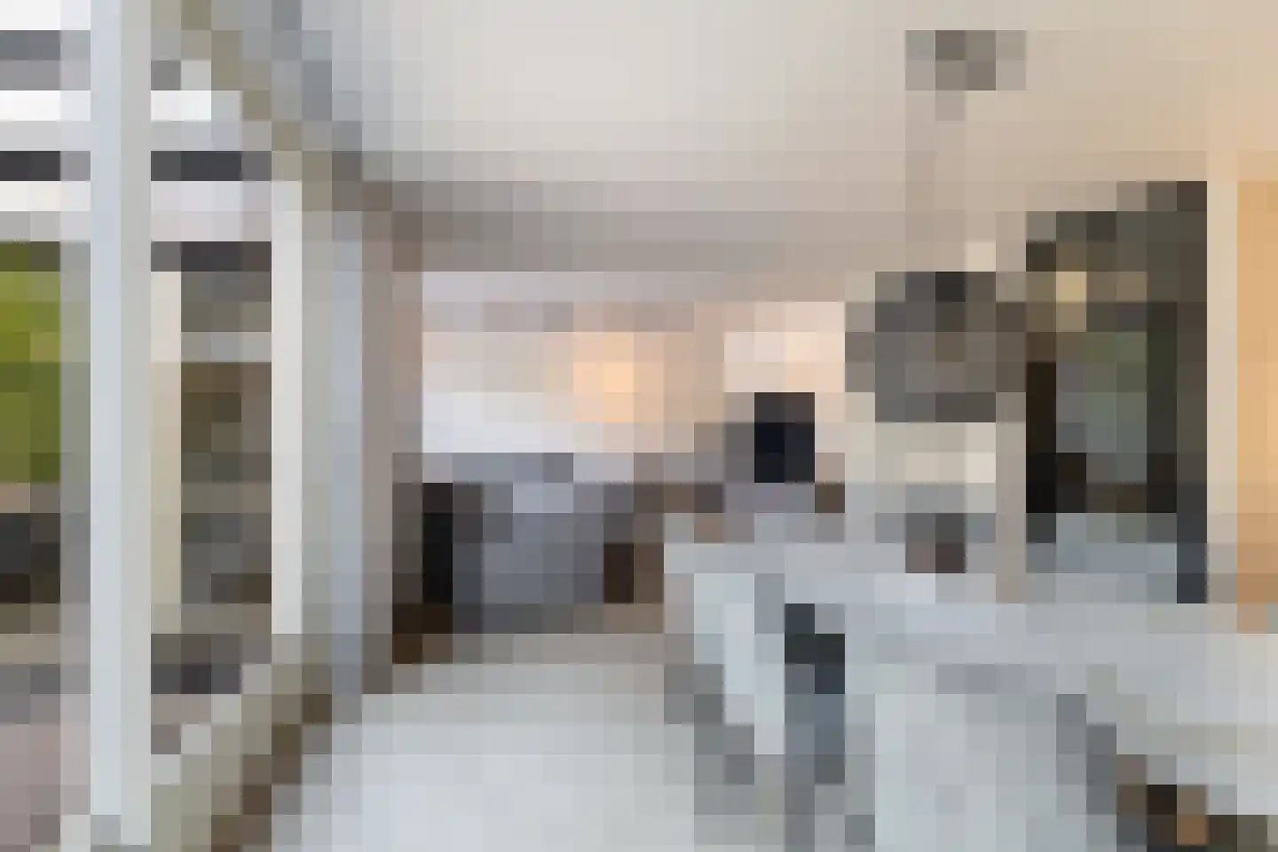 De Witte Zwaan 23 Amersfoort thumbnail 10