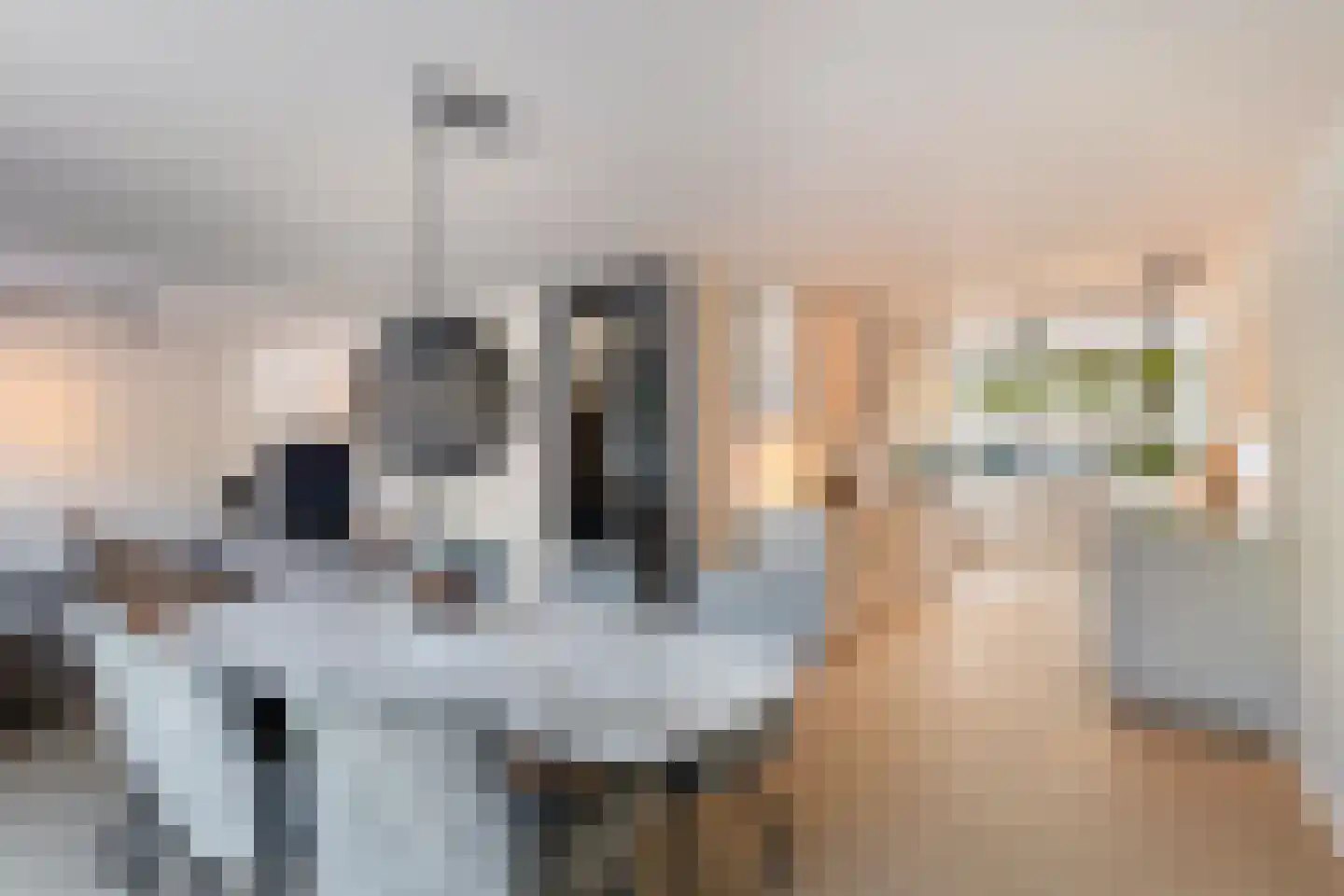 De Witte Zwaan 23 Amersfoort thumbnail 11