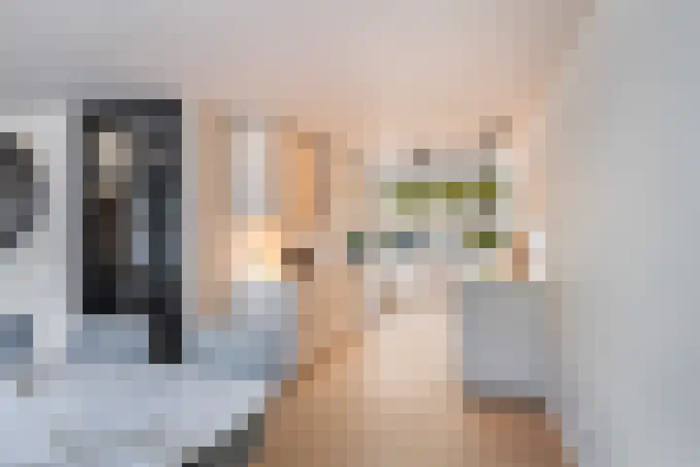 De Witte Zwaan 23 Amersfoort thumbnail 12