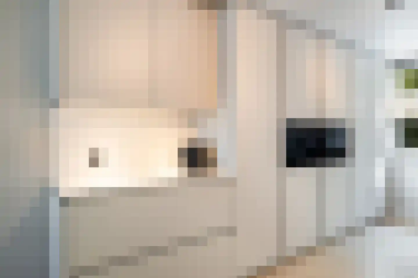 De Witte Zwaan 23 Amersfoort thumbnail 14