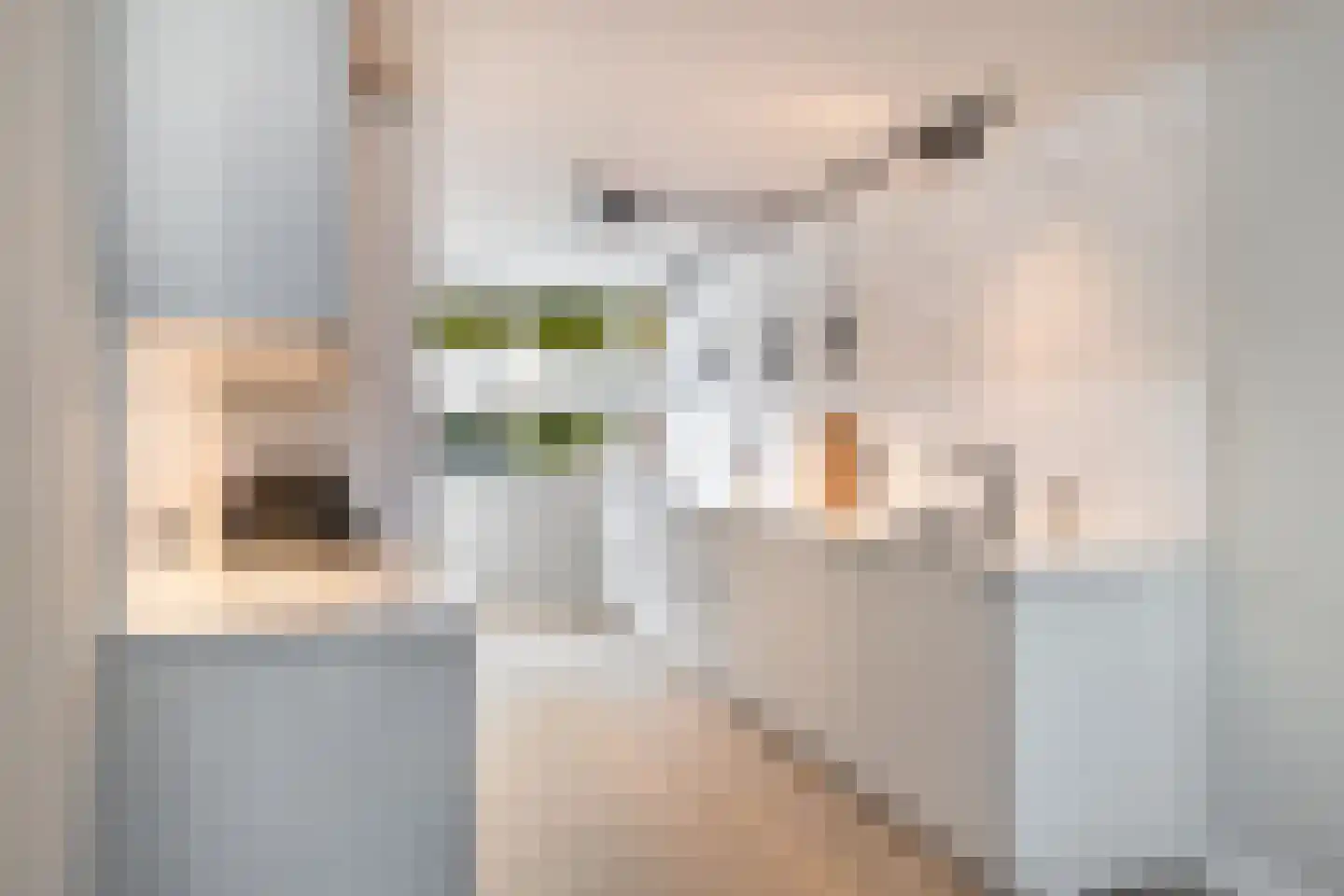 De Witte Zwaan 23 Amersfoort thumbnail 15