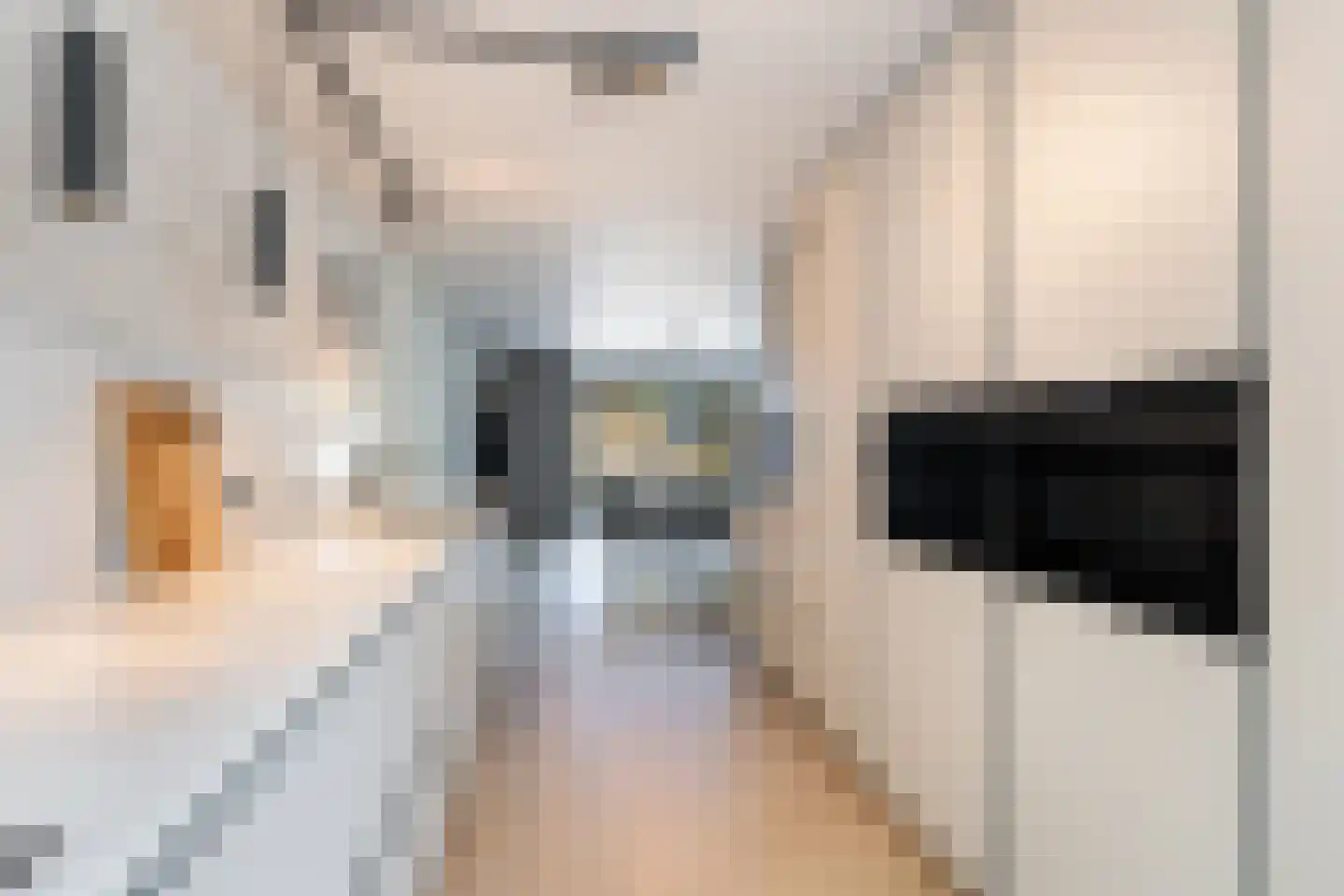 De Witte Zwaan 23 Amersfoort thumbnail 16