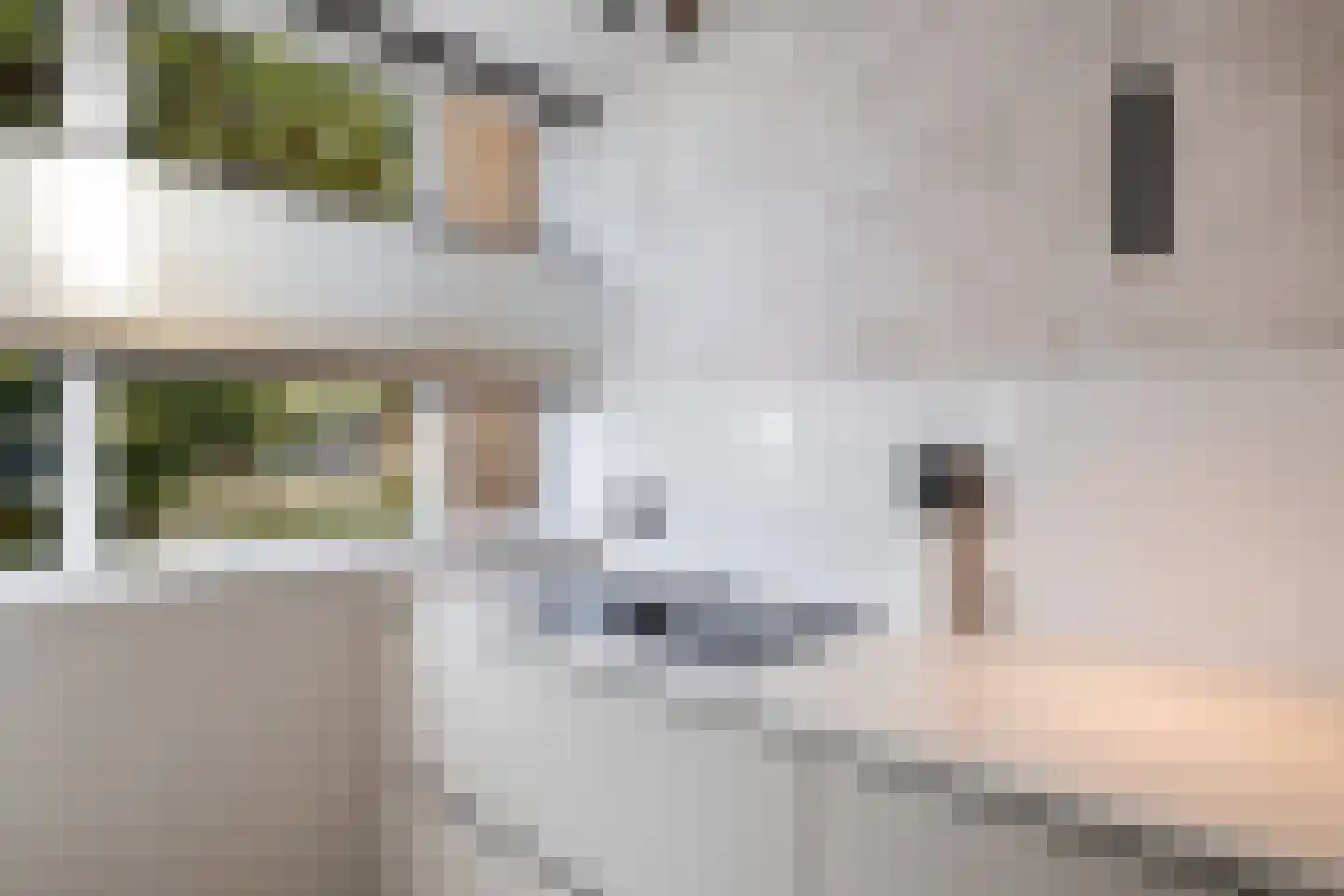 De Witte Zwaan 23 Amersfoort thumbnail 17