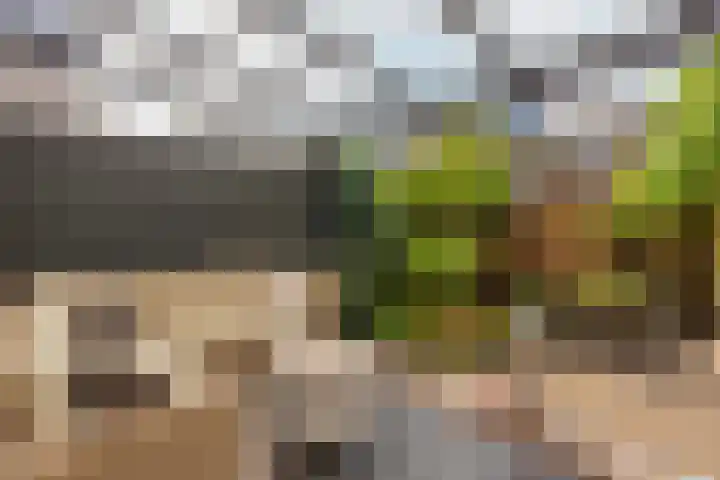 De Witte Zwaan 23 Amersfoort thumbnail 20