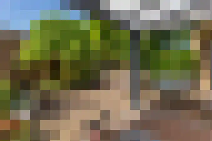 De Witte Zwaan 23 Amersfoort thumbnail 21