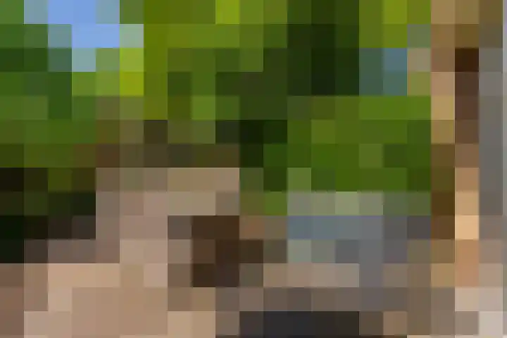 De Witte Zwaan 23 Amersfoort thumbnail 22