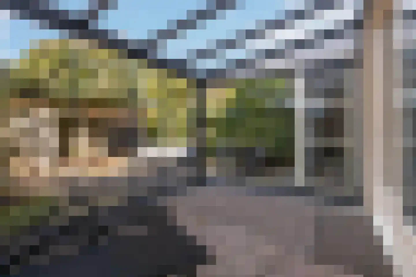 De Witte Zwaan 23 Amersfoort thumbnail 23